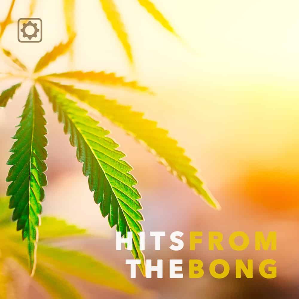 Hits From The Bong - Spotify Playlists by Hicktown Records