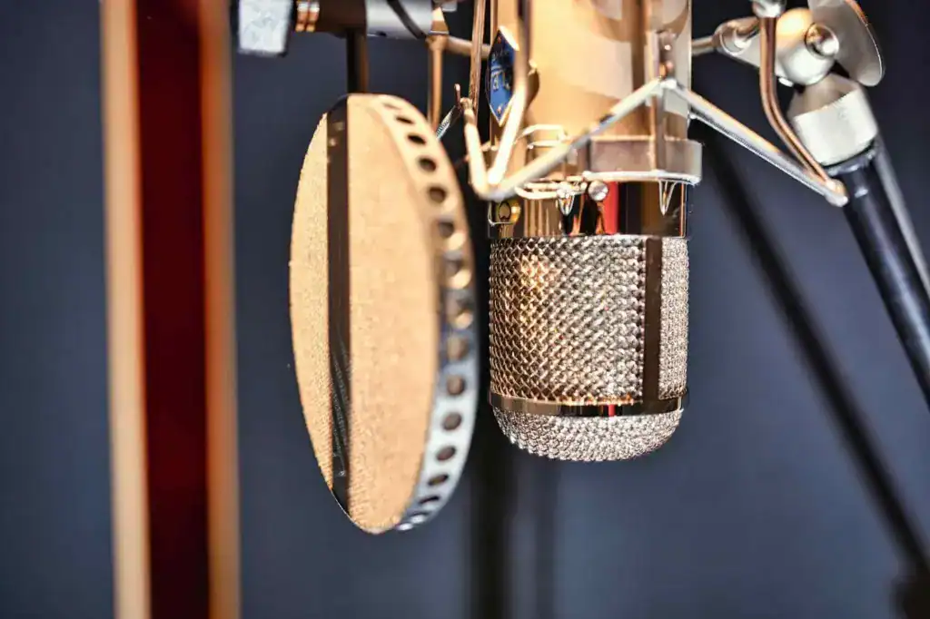 Hicktown Records - Studiogear - Flea Superfet 47 - Close Up 02
